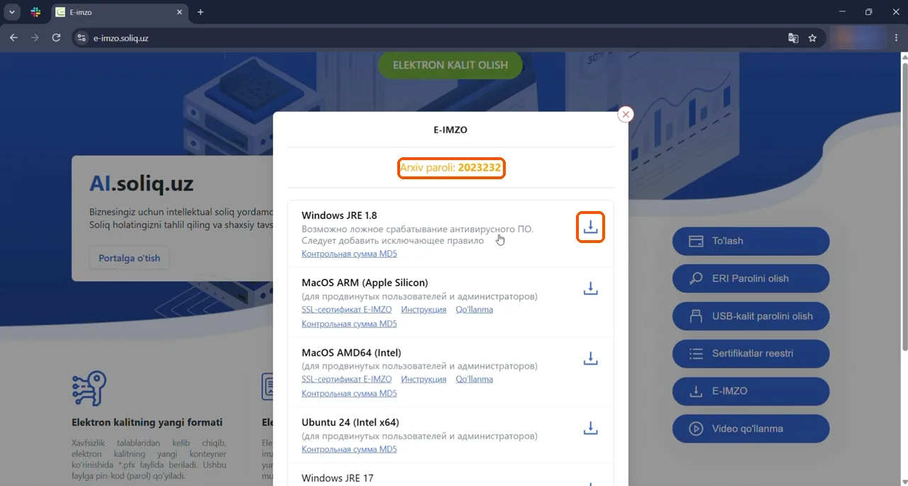 Окно загрузки E-IMZO